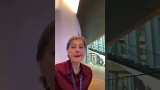 08.10.2024 Бороель «проклятая» Святая Земля