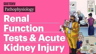Renal Function Tests & Acute Kidney Injury (AKI) (Pathophysiology) | Sketchy Medical