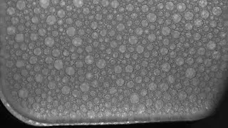 Ever Wondered What Happens To Foam In Space? Here's The Answer
