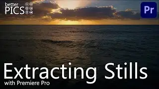 Extracting Frames in Premiere Pro | #Adobe #PremierePro #VideoEditing #ExtractingStills #FrameGrab