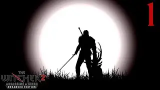 The Witcher 2: Assassins of Kings | Стрим 1
