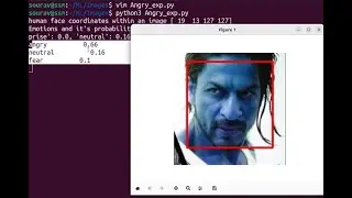 Python Facial Expression recognition using FER library (NEW)
