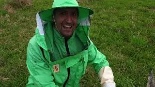 Весеннее расширение пчел после холода. Продолжаем расширять пчёл к первому медосбору. Май 2021