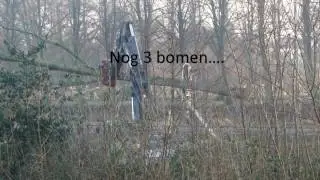 Het rooien langs Rondweg Lemmer 2