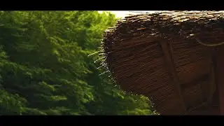 The Sound of Picnic 4K
