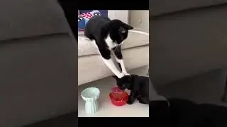 he