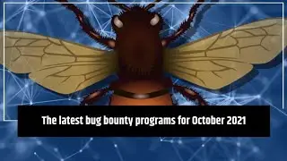 The latest bug bounty programs for October 2021 | Bug bounty hunting