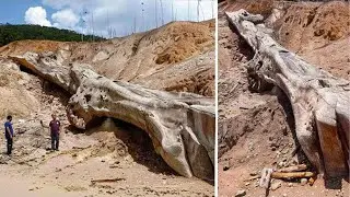 Tarihin Yeniden Yazılmaması İçin Arkeolog ve Tarihçilerin Bu Bulguları İncelemeleri Yasaklandı