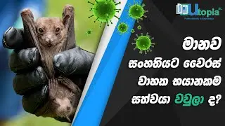 මානව සංහතියට වෛරස් වාහක භයානකම සත්වයා වවුලා ද ?