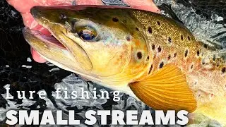 Small streams - trout lure fishing