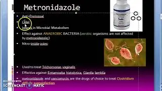 Pharmacology 912 a AntiAmoebic Amoebic Drugs MetroNidazole Anaerobic Bacteria Amoebiasis Treatment