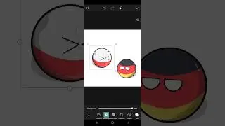 какой флаг у Польши 😅 #мем #прикол