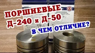 Поршневые Д-240 и Д-50: в чем отличие?