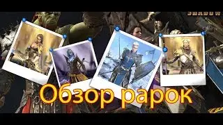 Raid: Shadow Legends  -  все редкие герои