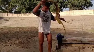 How to wear langot Ali pehlwan # simple and easy method # viral