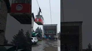 Там ревели 