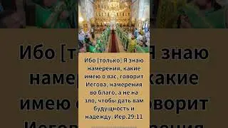 Ибо [только] Я знаю намерения, какие имею о вас, говорит Иегова, намерения во благо, а не на зло…