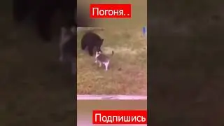 ❤️422♥️Шастают всякие..потом  вещи пропадают.😻😿😿😻🤩🫠👌😱