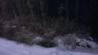 Последние дни осени 2016 года