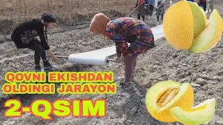 #QOVUN