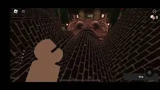 Seek chase door 100