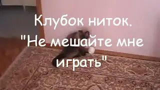 Клубок ниток. 