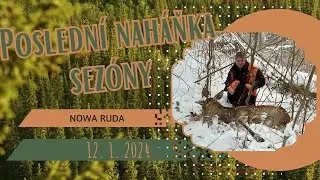 Red deer doe hunting 12. 1. 2025