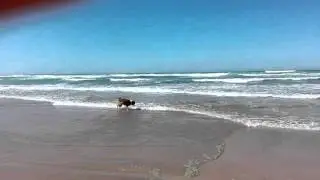 VID 20150918 124224