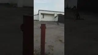 барбоскин
