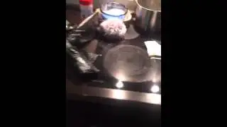 DanY T0   Тут было тусе