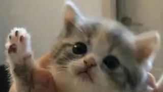 создаю сервер