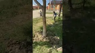 Абдул-Халим с братьями. «Убрать с дороги камень, ветку, кость является милостыней» (Ат-Тирмизи).