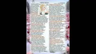 Шауча: чистота, как внешняя, так и внутренняя