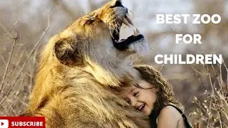 "The Hidden Gem: Discover the Enchanting Zoo That Will Ignite Your Child's Imagination"