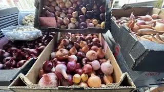 Storing the garlic, onions and shallots