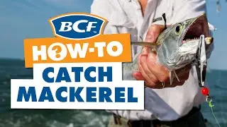 How to Catch Mackerel - BCF How To