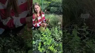 Эффектную причёску надА?