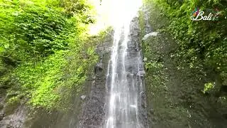 Jatiluwih Unesco World Heritage Site
