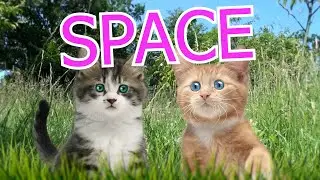 Space - Rathergood Chat episode 4