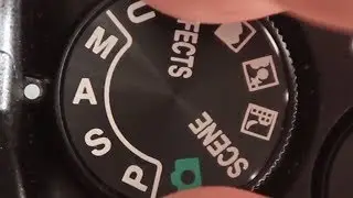 Aperture and Depth of Field with Nikon Coolpix P900