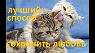 Как сохранить отношения! Как избежать развода и сохранить семью и любовь. Способ сохранить ваш брак.