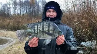 Udomlya. Fishing in Paradise. New Season 2024-2025