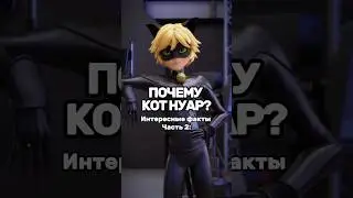 ❗️🐾ПОЧЕМУ КОТ НУАР??? 