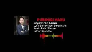 Punshigi Mahu || Arbin Soibam || Official Music Audio