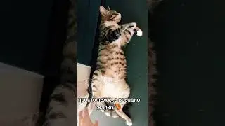 просто лежу...