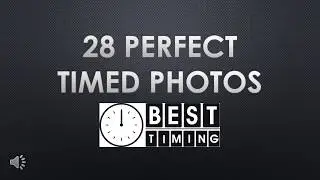 28 Perfect Timed Photos | Best Timing