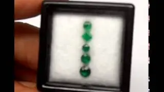 0 55cts  5pcs  Columbia Green Emerald