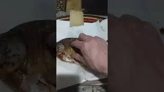 #shorts Ужин рыбака