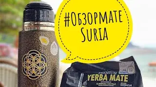 #Обзормате Suria 2024 (NR)