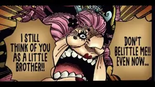 Big Mom calling kaido little brother || One Piece || Episode 1014